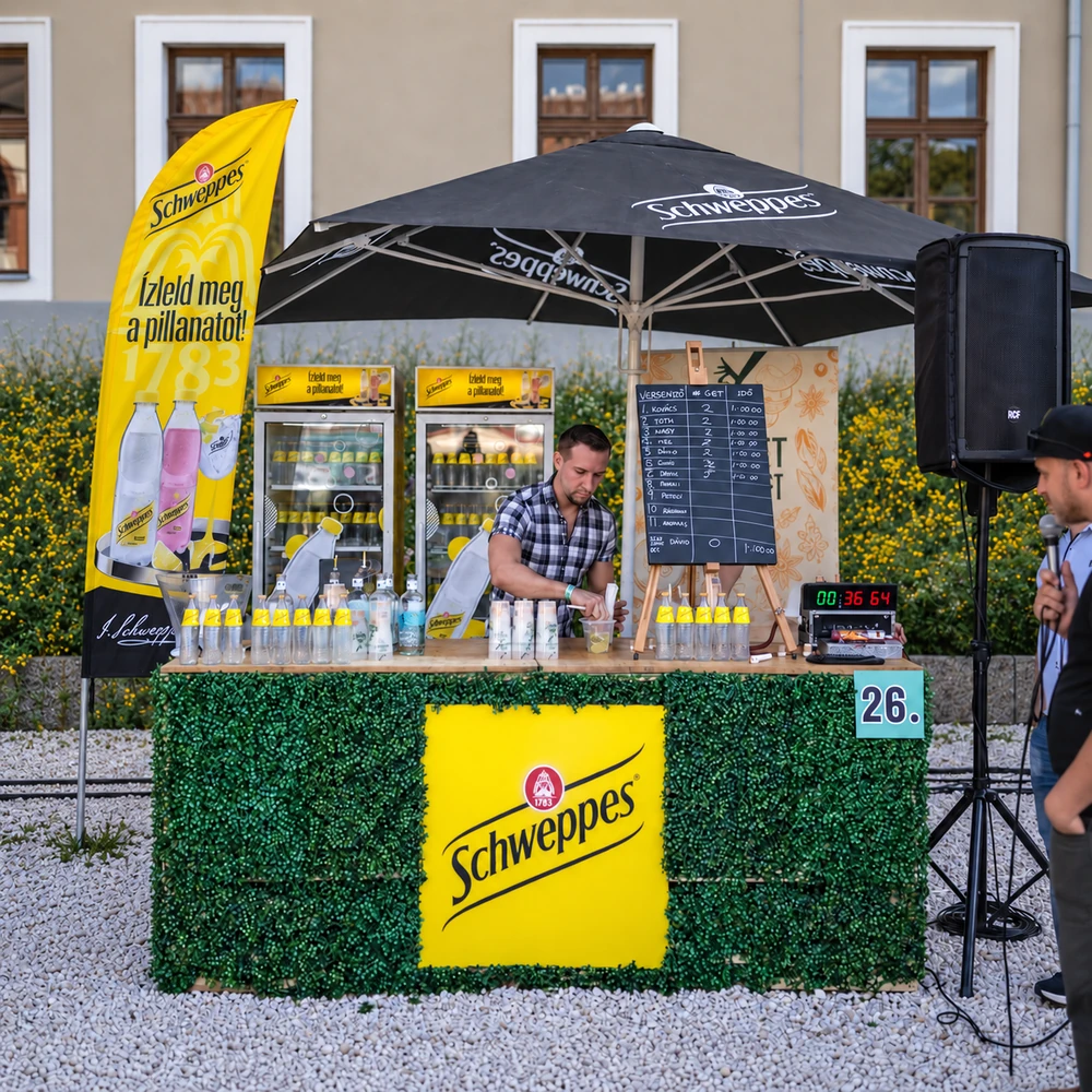 schweppes gin market 1000x1000